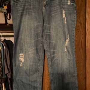 Women’s Plus Size jeans